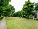 Well-maintained garden with trees and pathway