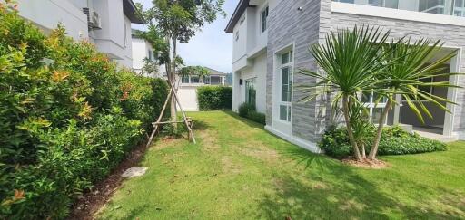 Exterior view of a modern house with a garden