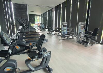 Modern gym with various exercise equipment and natural lighting