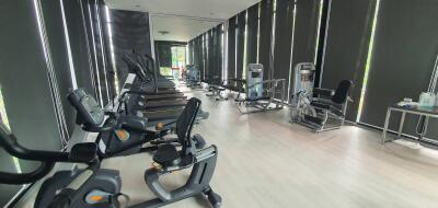 Modern gym with various exercise equipment and natural lighting