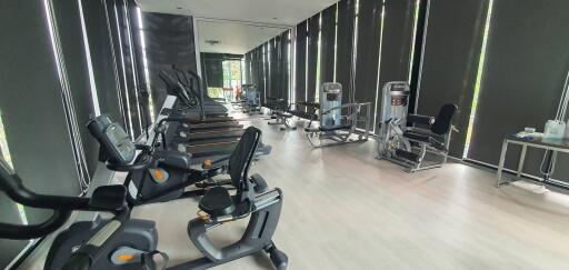 Modern gym with various exercise equipment and natural lighting