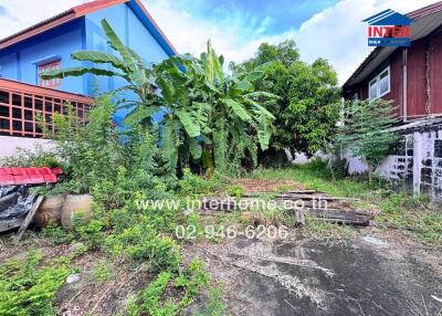 Overgrown backyard area with trees and vegetation