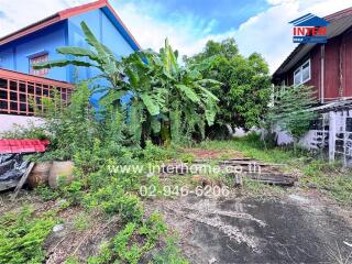 Overgrown backyard area with trees and vegetation