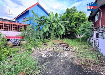 Backyard with lush green plants and trees.