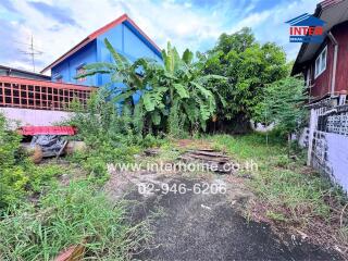 Backyard with lush green plants and trees.