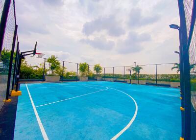 Outdoor basketball court