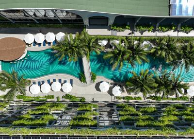 Aerial view of a lush, landscaped swimming pool area with palm trees, seating, and parasols