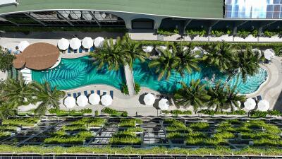 Aerial view of a lush, landscaped swimming pool area with palm trees, seating, and parasols