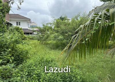 Prime Freehold Land in Sukhumvit 71