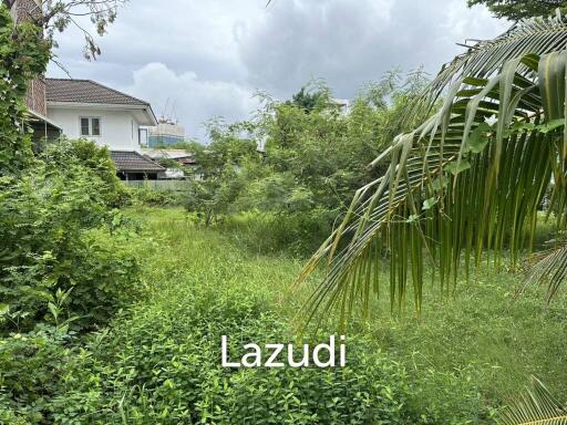 Prime Freehold Land in Sukhumvit 71