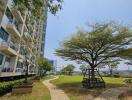 A view of the outdoor garden area with a walking path and a residential building