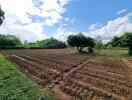 Recently plowed farmland with a few trees under a blue sky