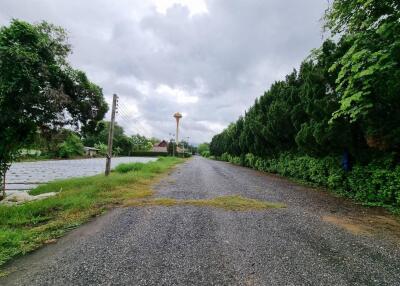 Gravel road lined with trees and greenery