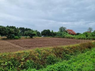 Cultivated agricultural land surrounded by green vegetation