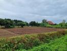 Cultivated agricultural land surrounded by green vegetation