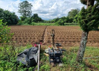 Cultivated field with irrigation equipment