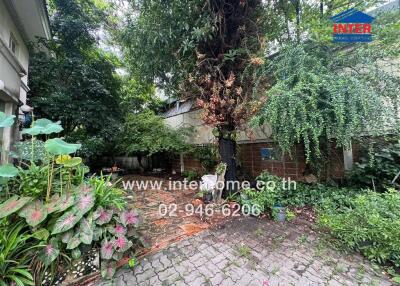 A lush garden area with various plants and a brick pathway