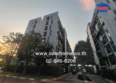 Multi-story apartment building exterior with trees and driveway