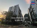 Multi-story apartment building exterior with trees and driveway