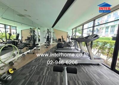 Fully-equipped gym with modern exercise machines