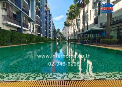 Community swimming pool surrounded by apartment buildings