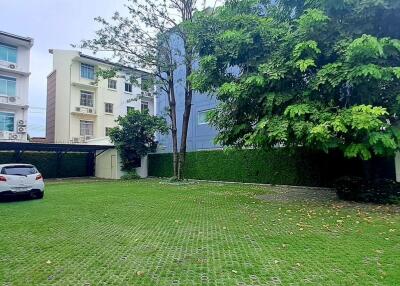 spacious backyard with car parking and greenery