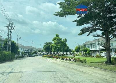 Suburban neighborhood street with houses and greenery