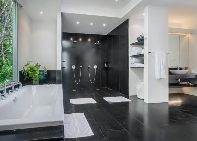 Modern bathroom with black-tiled walk-in shower and white bathtub