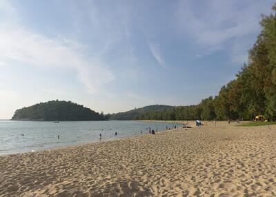 Scenic beach with trees and hills in the background