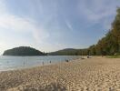 Scenic beach with trees and hills in the background