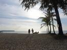 Beach view with people walking and palm trees