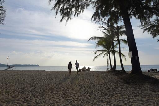 Beach view with people walking and palm trees