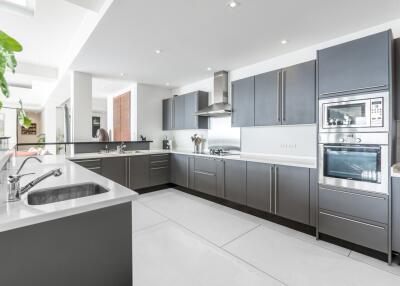 Modern kitchen with sleek gray cabinetry and stainless steel appliances