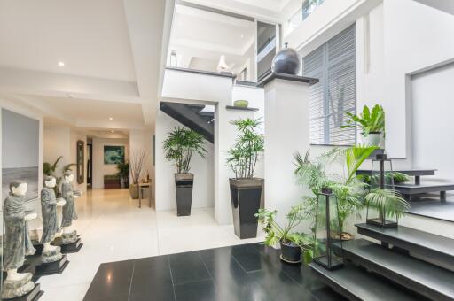 Modern hallway with indoor plants and statues