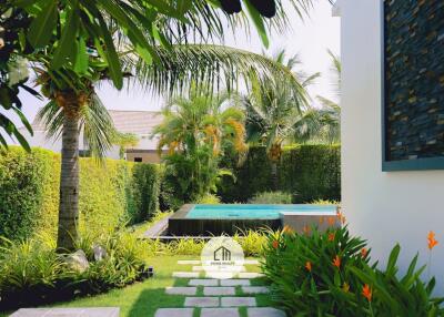 Lush backyard with pool area surrounded by greenery and plants