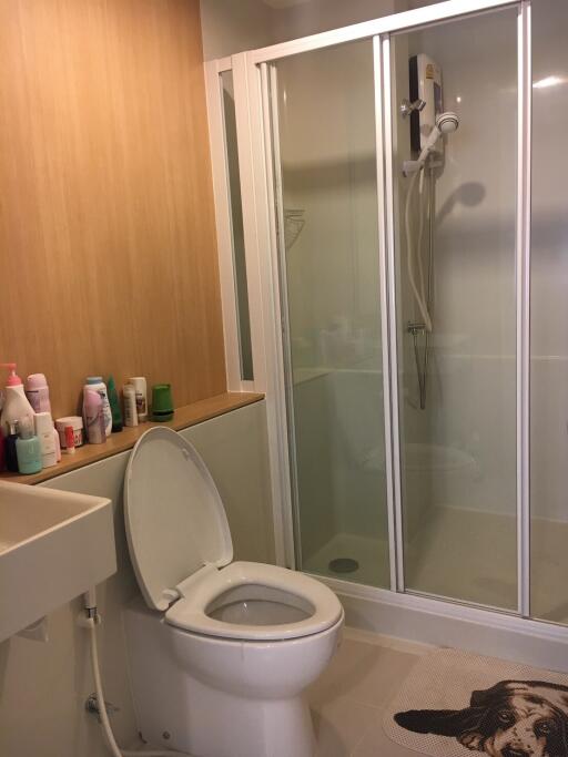 Modern bathroom with shower and toilet