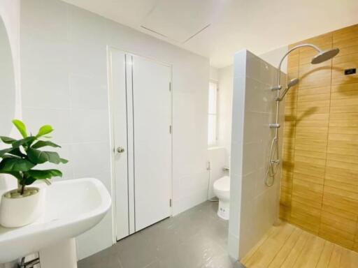 Modern bathroom with sink, shower, toilet, and indoor plant