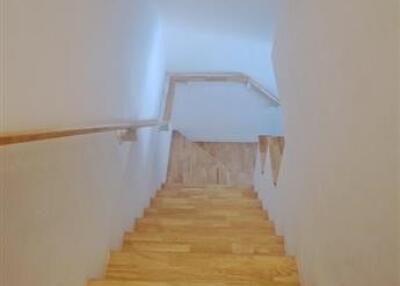 Wooden staircase with handrail