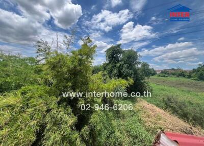 View of greenery and sky