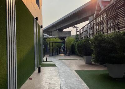 Pathway alongside modern building with greenery