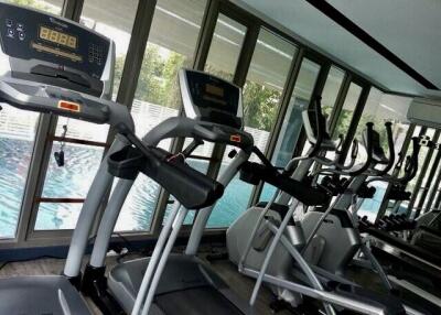 Modern gym with cardio equipment and pool view