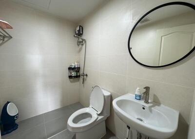 Modern bathroom with sanitary amenities