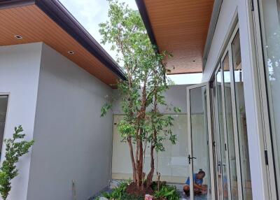 private courtyard with modern architecture and tall tree