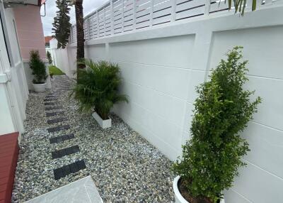 Side pathway with plants