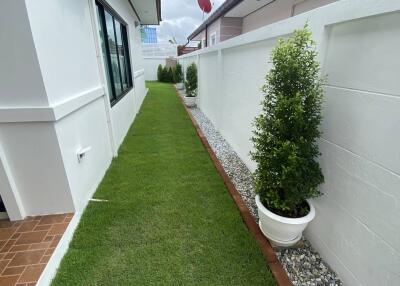 Side yard with grass and potted plants