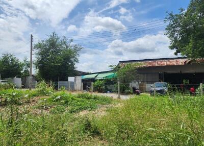 Outdoor garden area with greenery and buildings