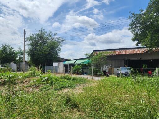 Outdoor garden area with greenery and buildings