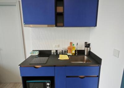 Compact kitchen with blue cabinetry