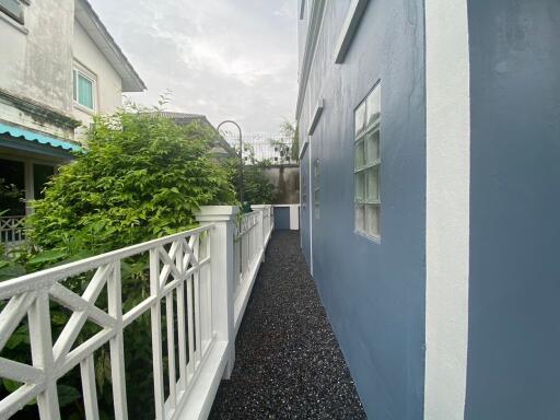 Side walkway with blue wall and white fence