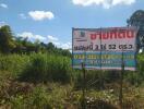 Land for sale with contact information in front of greenery and trees